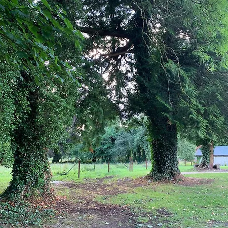 The Nurseries